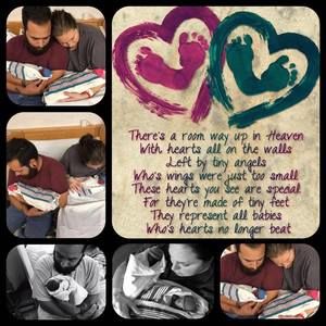 Meet your Posher, Luis tito